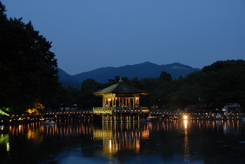 燈花会001.jpg