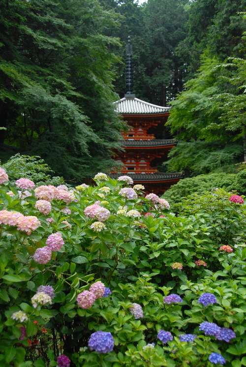 gansenji01.jpg