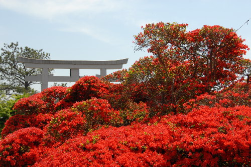 nagaoka01.jpg