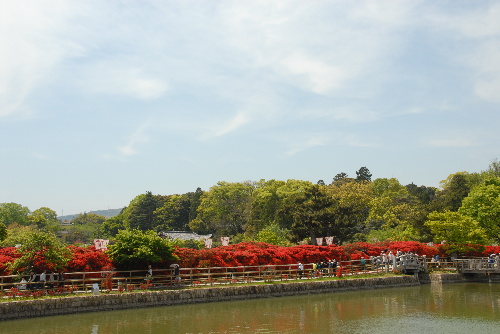 nagaoka02.jpg