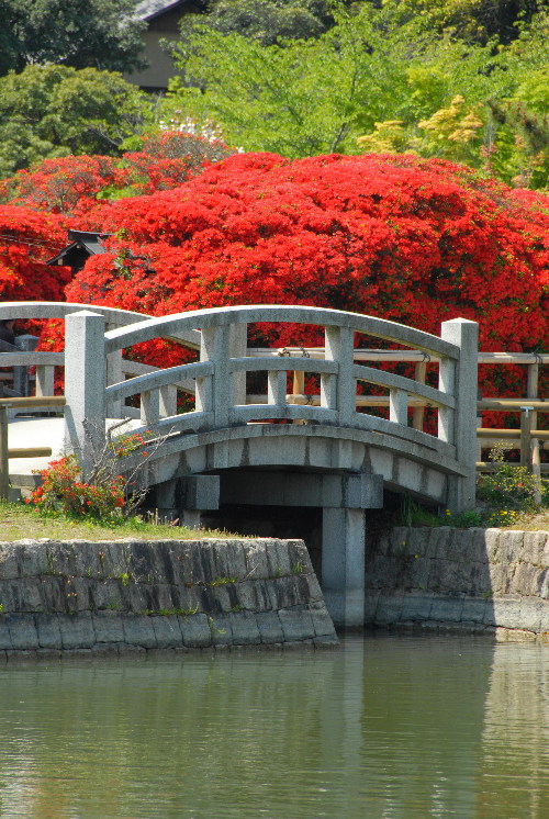 nagaoka05.jpg