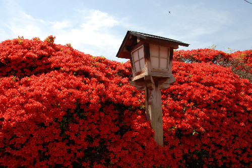 nagaoka06.jpg