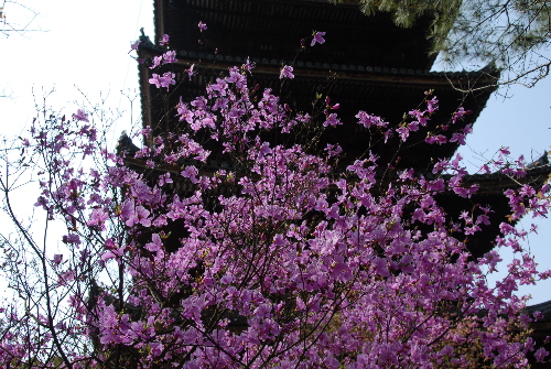 omuro06.jpg