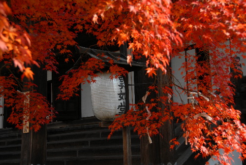 sin112506.jpg