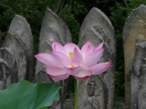 喜光寺003.jpg