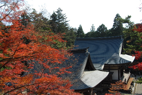 takao02.jpg