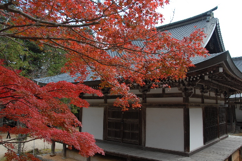 takao03.jpg